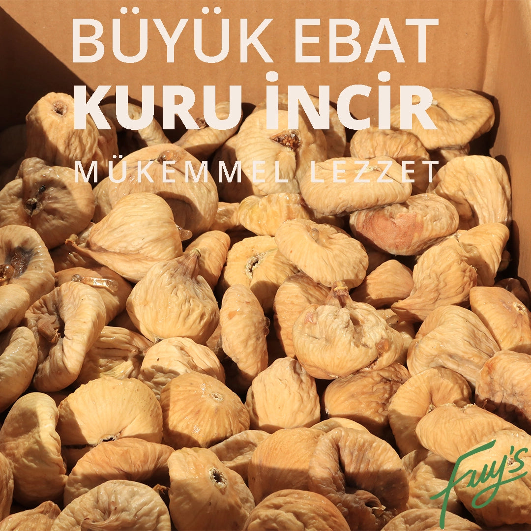 Büyük Kuru İncir