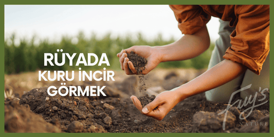 Rüyada Kuru İncir Görmek, Rüyada Kuru İncir Görmenin Anlamı Nedir?