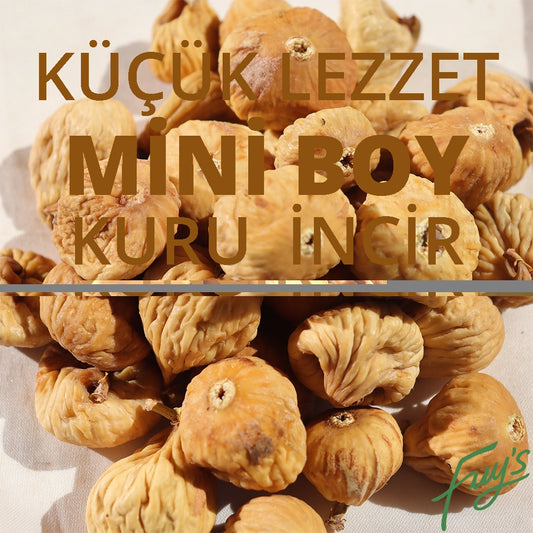Küçük Kuru İncir
