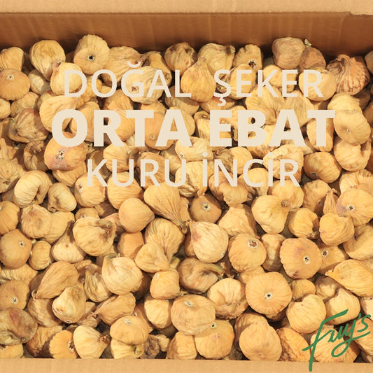 Orta Kuru İncir