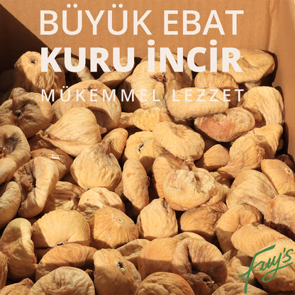Büyük Kuru İncir